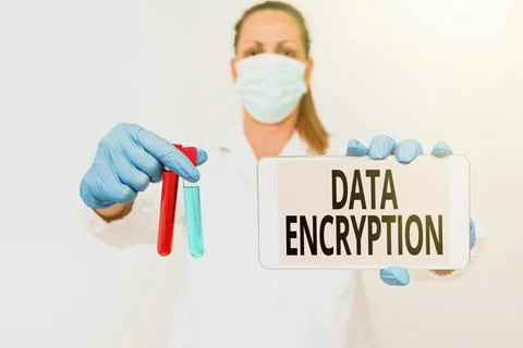 Text caption presenting Data Encryption. Concept meaning Symmetrickey algorithm Foto stock