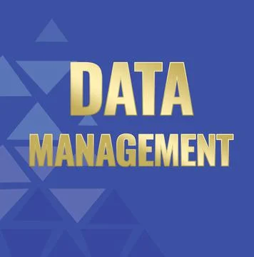 Text caption presenting Data Management. Internet Concept The practice of 스톡 일러스트