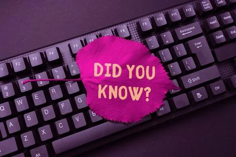 Text caption presenting Did You Know Question. Conceptual photo when you are 스톡 사진