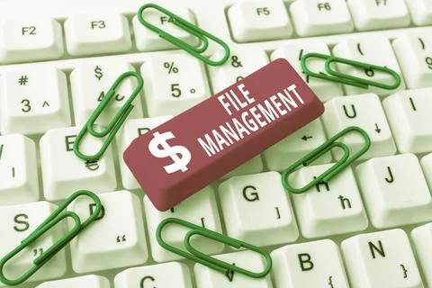 Text caption presenting File Management. Business approach computer program that Foto stock