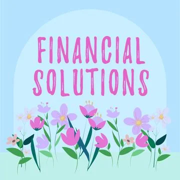 Text caption presenting Financial Solutions. Conceptual photo to Save Money on Stock Illustration