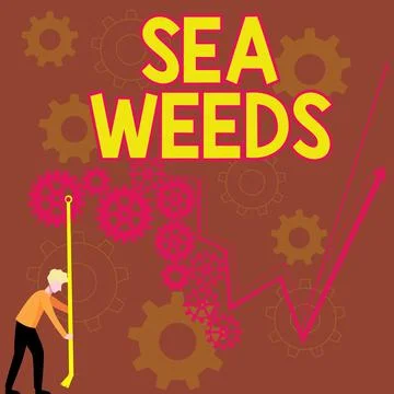 Text caption presenting Sea Weeds. Business idea Large algae growing in the sea Stock Illustration