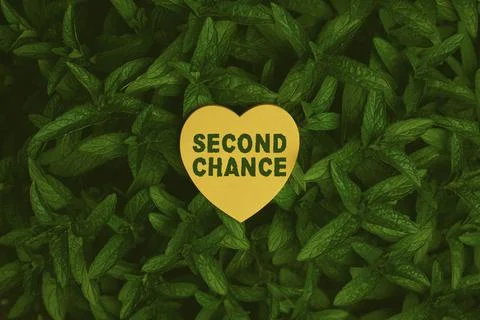 Text caption presenting Second Chance. Word for the opportunity given to someone Stock Photos