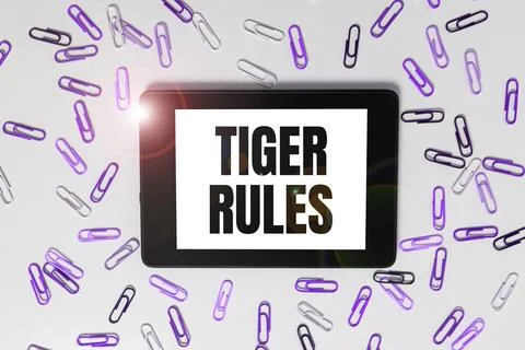 Text caption presenting Tiger Rules. Business approach Willpower and personal Stock Photos