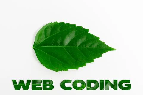 Text caption presenting Web Coding. Business idea a system of symbols and rules Stock Photos