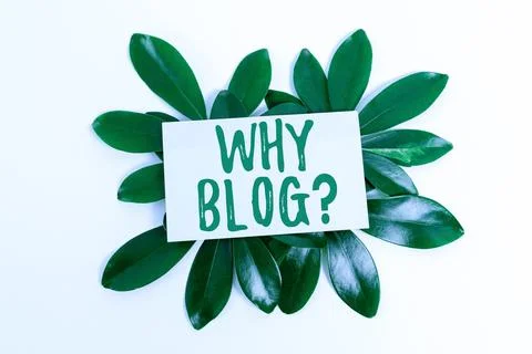 Text caption presenting Why Blogquestion. Concept meaning reason why regularly Stock Photos