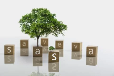 Text on dice with tree and copy space for insert text on white background. Foto stock