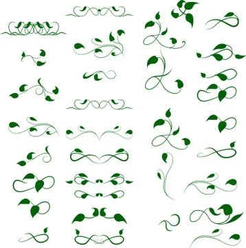 Text divider, floral decor element Illustrazione stock