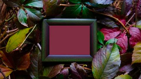 Text frame. Flat lay. Nature concept. Top view. Autumn leaf composition. Stock Photos