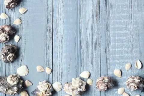Text frame of seashells on wooden background Stock Photos