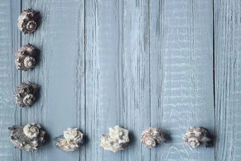 Text frame of seashells on wooden background Stock Photos
