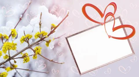 Text frame, two hearts on a defocused background of flowering branches and sn 스톡 사진