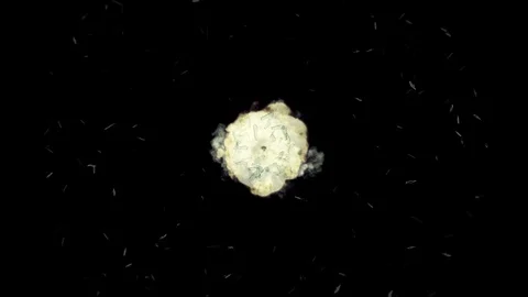 Text: FUTURE - Glass shards fly towards us after an explosion - motion Stock Footage 113734712