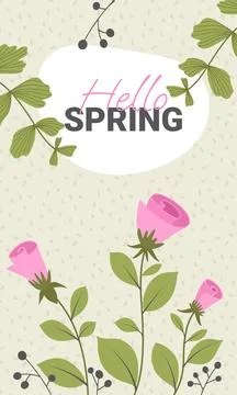 Text hello spring on the background of twigs with green leaves and decorative Stock Illustration