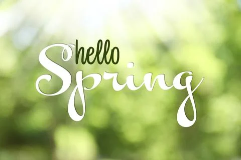 Text Hello Spring on blurred green background. Bokeh effect Stock Photos