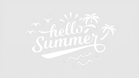 Text Hello Summer animation, motion graphic, transparent background 動画素材 211272057