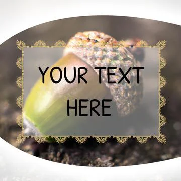 Text holding space in opaque rectangle with decorative frame over acorn Foto stock