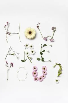 Text HOW ARE YOU? made of beautiful spring flowers on white background Stock Photos