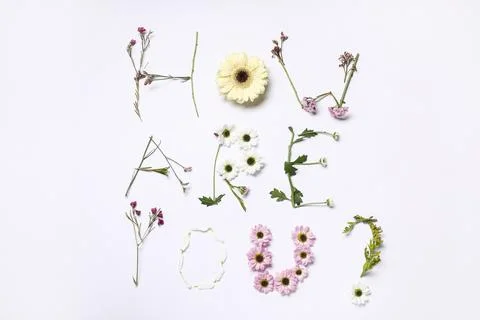 Text HOW ARE YOU? made of beautiful spring flowers on white background Stock Photos