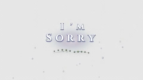 Text I'm Sorry with decorative elements and alpha transparency 스톡 동영상 344616592
