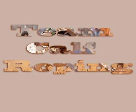 Text With Image Depicting Team Calf Roping Stock Illustration