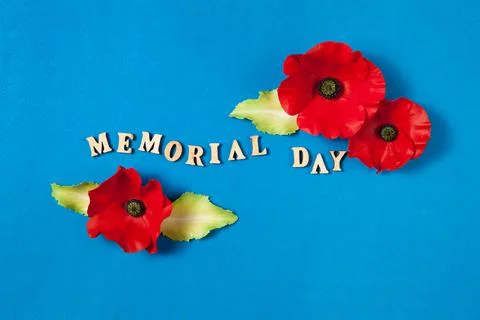 Text Memorial Day and a poppy flowers on blue background Stock Photos