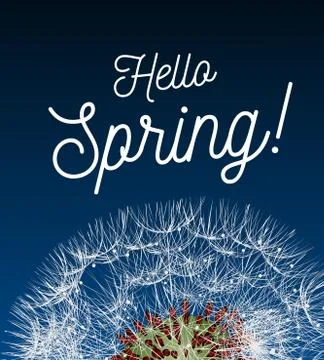 Text message hello spring, against a background of a spring landscape with a Illustrazione stock