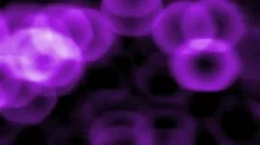 Text n bokeh lights Stock After Effects