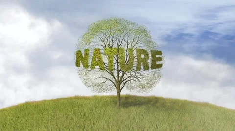 Text nature in a tree, falling leaves Stock Footage 43736580