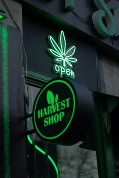 Text Open and green logo of Harvest Shop with marijuana leaf Stock Photos