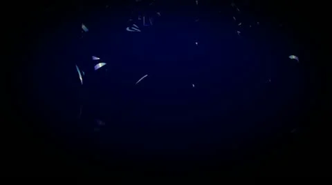 Text Preset Stock After Effects