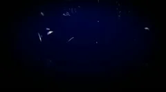 Text Preset Stock After Effects