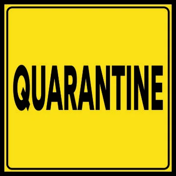 Text - Quarantine - on yellow background Illustrazione stock