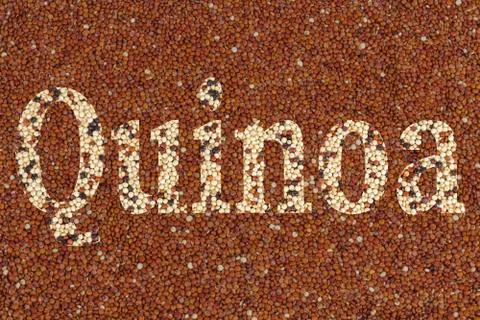 Text Quinoa Stock Illustration