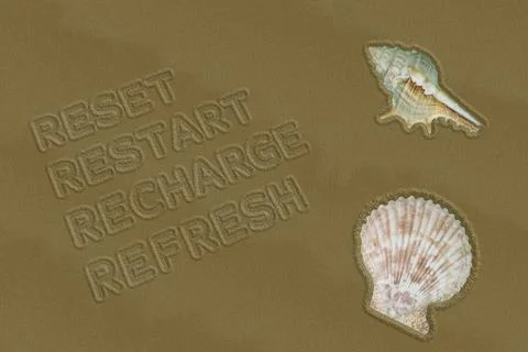 Text on the sand with shells. Stock Illustration