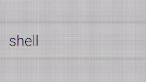 Text Shell typing in search engine screen animation in 4k Stock Footage 280673894