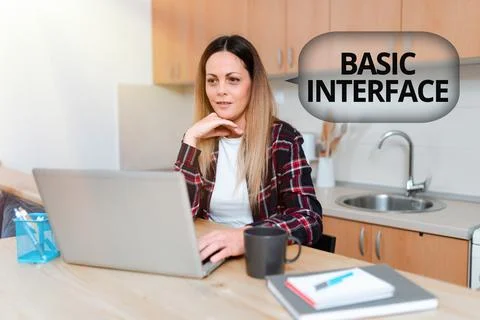 Text showing inspiration Basic Interface. Business overview boundary across 스톡 사진