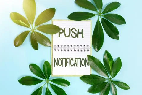Text showing inspiration Push Notification. Conceptual photo automated message Stock Photos