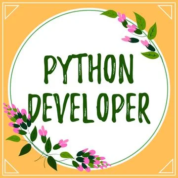 Text showing inspiration Python Developer. Word Written on responsible for wr Stock Illustration