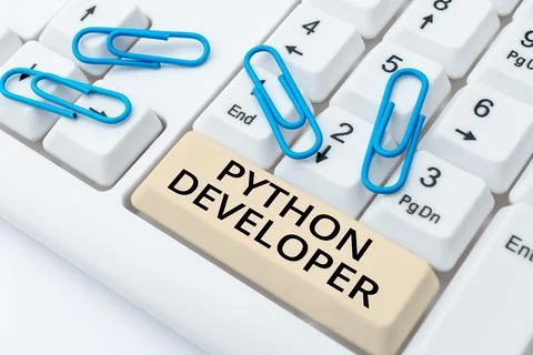 Text showing inspiration Python Developer. Word for employees are rewarded for Photos