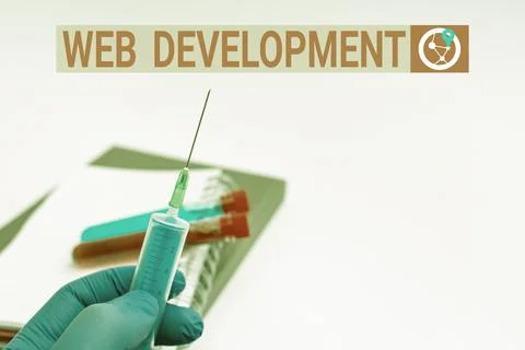 Text showing inspiration Web Development. Business approach dealing with Stock Photos