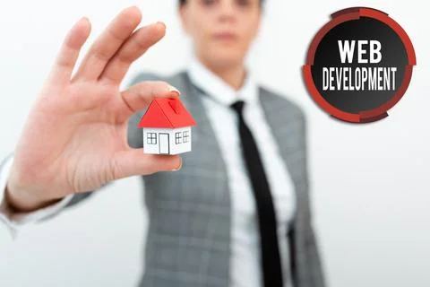 Text showing inspiration Web Development. Business overview dealing with Foto stock
