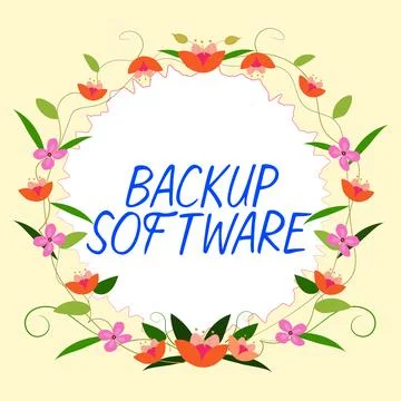 Text sign showing Backup Software. Concept meaning create extra exact copies of Stockillustratie