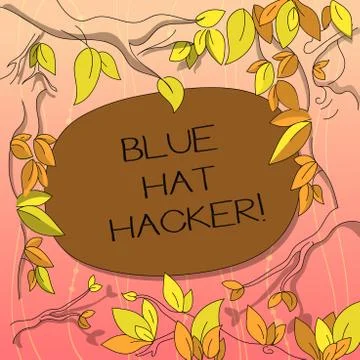 Text sign showing Blue Hat Hacker. Conceptual photo Person consulting firms who イラスト素材