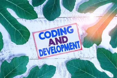 Text sign showing Coding And Development. Conceptual photo Programming Building Stock Photos