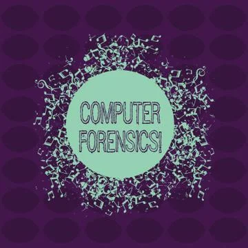 Text sign showing Computer Forensics. Conceptual photo the investigative Stock Illustration