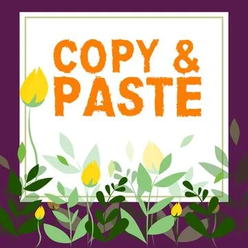 Text sign showing Copy Paste. Business concept an imitation, transcript, or Stock Illustration