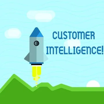 Text sign showing Customer Intelligence. Conceptual photo process of analyzing イラスト素材