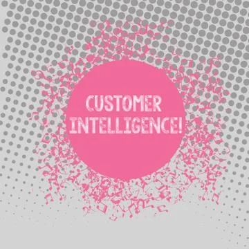 Text sign showing Customer Intelligence. Conceptual photo process of analyzing Illustrazione stock