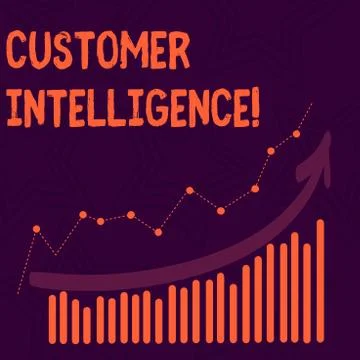 Text sign showing Customer Intelligence. Conceptual photo process of analyzing Illustrazione stock